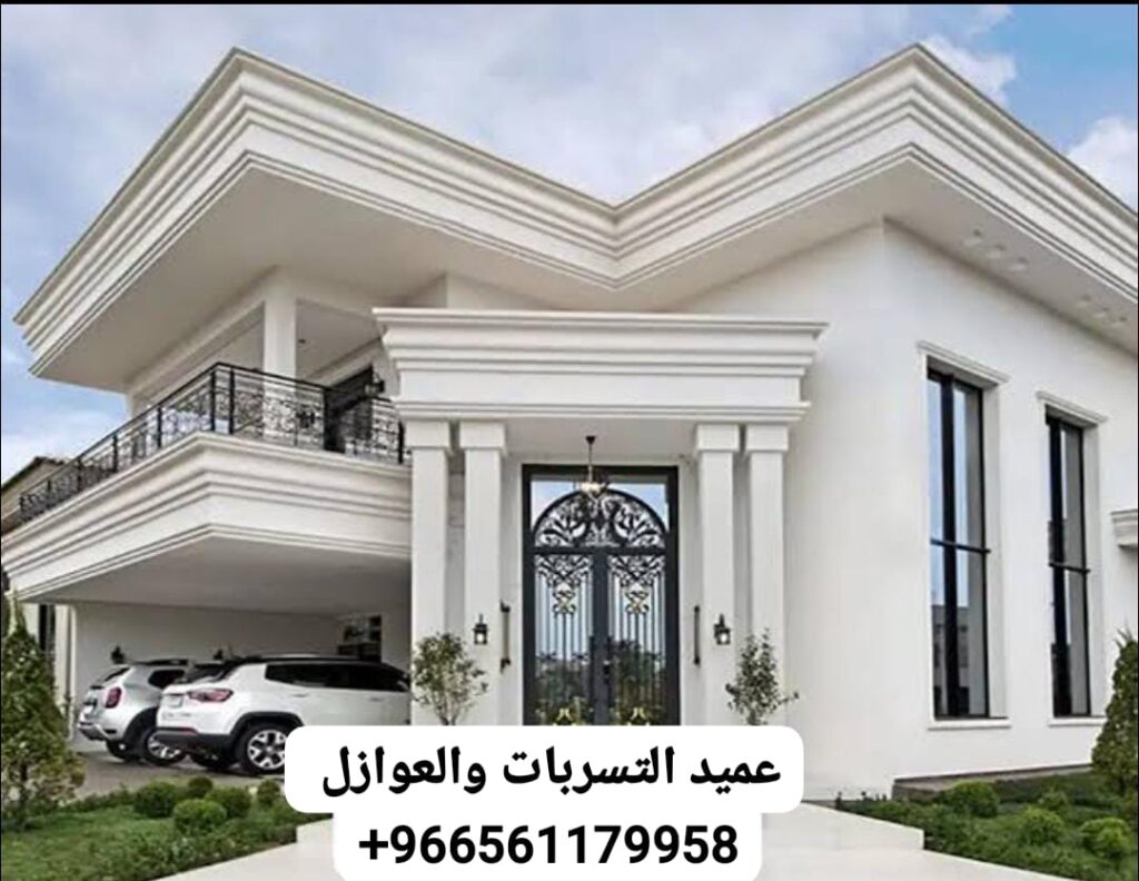 شركة تشطيب منازل وفنادق بالليث