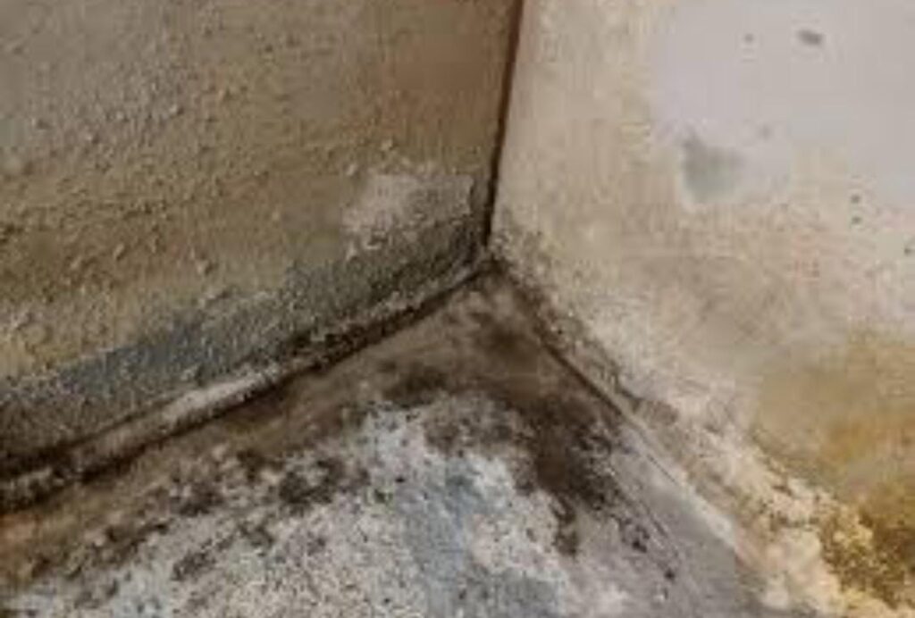 شركة كشف تسريب المياه ومعالجة رطوبه الجدران بالليث