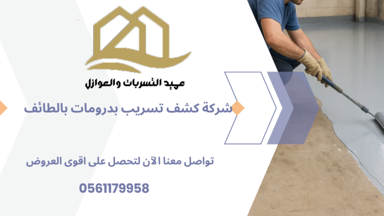 شركة كشف تسريب بدرومات بالطائف