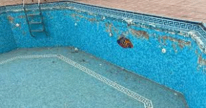 شركة ترميم مسابح برابغ