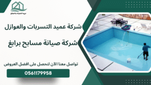 شركة صيانة مسابح برابغ