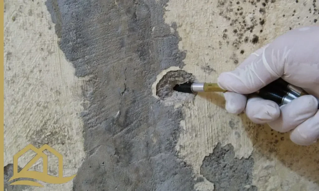 عن مؤسسة العميد للمقاولات والتسربات والعوازل